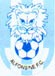 Alfonsine F.C.