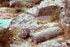 Cava di Marmo
