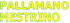 Pallamano mestrino