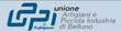 Unione Artigiani Piccoli Industriali