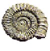Comunità Montana del Catria e del Nerone
