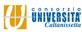 Consorzio Universitario di Caltanissetta