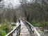 La Riserva naturale Tevere  Farfa