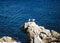Ustica